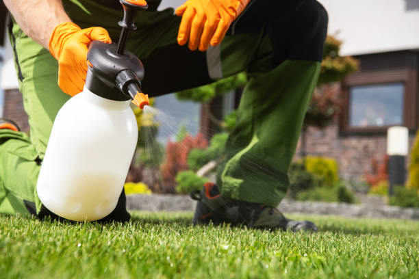 Best Local Pest Control Services  in Akron, IN