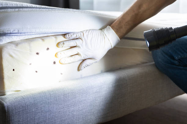 Best Pest Removal Services  in Akron, IN