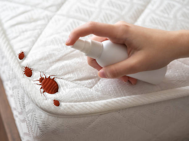 Best Flea Control Services  in Akron, IN