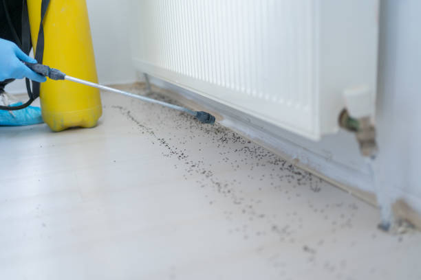 Best Cockroach Control Services  in Akron, IN