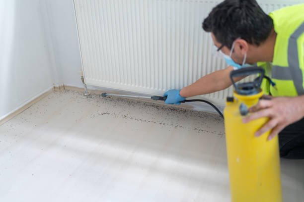 Best Residential Pest Control  in Akron, IN