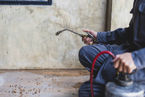 Best Pest Inspection Near Me  in Akron, IN